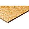OSB-Platte Fixmaß stumpf (Holz Mix, 2.500 x 1.250 x 12 mm)