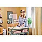 Rapid Handtacker M10Y (Dundraadnieten nr. 53 en fijndraadnieten nr. 13, 6-10 mm) | BAUHAUS