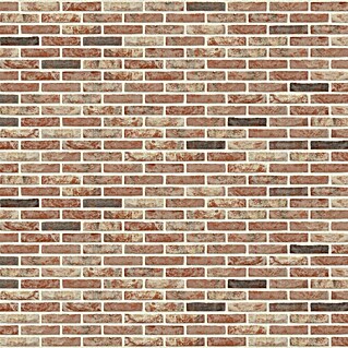 Baksteen MOD 50 Neo Barok (l x b x h: 19 x 9 x 5 cm, Rood, beige, zwart)