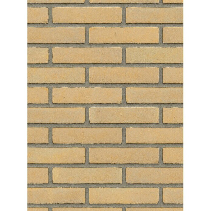 Baksteen gevelsteen Waalformaat (l x b x h: 21 x 10 x 5 cm, Geel) | BAUHAUS