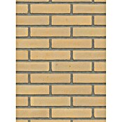 Baksteen gevelsteen Waalformaat (l x b x h: 21 x 10 x 5 cm, Geel) | BAUHAUS