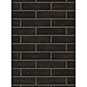 Baksteen gevelsteen Waalformaat (l x b x h: 21 x 10 x 5 cm, Antraciet) | BAUHAUS