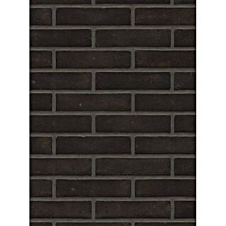 Gevelbekleding Gevelsteen Waalformaat (l x b x h: 21 x 10 x 5 cm, Antraciet)