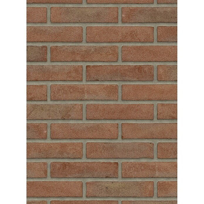 Baksteen gevelsteen Waalformaat (l x b x h: 21 x 10 x 5 cm, Rood) | BAUHAUS