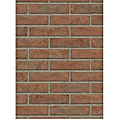 Baksteen gevelsteen Waalformaat (l x b x h: 21 x 10 x 5 cm, Rood) | BAUHAUS