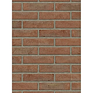 Gevelbekleding Gevelsteen Waalformaat (l x b x h: 21 x 10 x 5 cm, Rood)