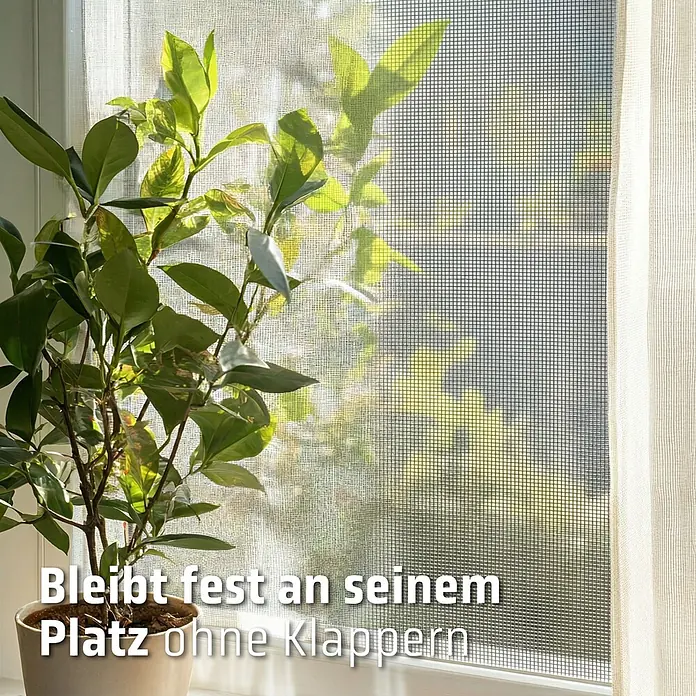 Cocoon Home Concepts Insektenschutz-Fensterrollo - B x H: 90 x 150 cm, Montage Insektengitter: Schrauben - Fest montiertes dunkles Fliegengitter im Fenster, lässt Licht herein und klappert nicht, mit Zimmerpflanze.
