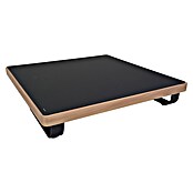 Sunfun Conjunto de muebles Cintia (6 pzs., Aluminio/Poliéster, Antracita) | BAUHAUS