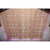 Sanotechnik Infrarotkabine Carbon 2 (L x B x H: 150 x 180 x 195 cm, 3 100 W) | BAUHAUS
