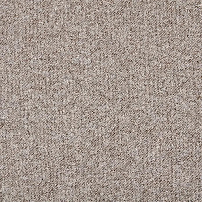 Bricoflor Teppichfliese - Breite: 50 cm, Schlinge, Polypropylen, beige - Nahaufnahme eines neutralen hellbraunen Strukturtteppichs.