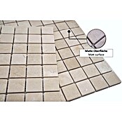 Mosaikfliese Quadrat Uni MOS 32/13R (30,5 x 30,5 cm, Beige, Matt)