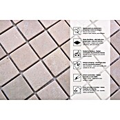 Mosaikfliese Quadrat Uni MOS 32/13R (30,5 x 30,5 cm, Beige, Matt)