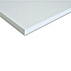 Regalboden (Weiß, L x B: 100 x 30 cm, Stärke: 1,6 cm)