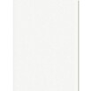 Regalboden (Weiß, L x B: 100 x 30 cm, Stärke: 1,6 cm)