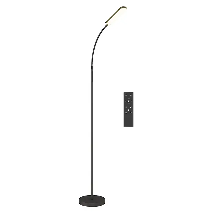 Homcom Stehleuchte - 18 W, Höhe: 175 cm, Schwarz, Schwarz, E10 - Moderne schwarze Stehleuchte mit gewölbtem Hals, rechteckigem Leuchtkopf und separater Fernbedienung zur Lichteinstellung.