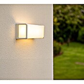 Garza Aplique exterior LED Tena (9 W, 8 x 8,5 x 24 cm, Blanco, IP65) | BAUHAUS