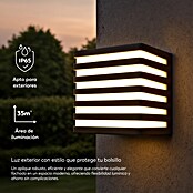 Garza Aplique exterior LED Vito (9 W, 10,4 x 11,2 x 11,2 cm, Negro, IP65) | BAUHAUS