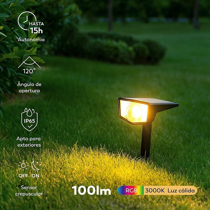 Garza Estaca solar Boreas (L x An x Al: 10 x 16 x 30 cm, Negro, IP65, 100 lm) | BAUHAUS