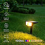 Garza Estaca solar Boreas (L x An x Al: 10 x 16 x 30 cm, Negro, IP65, 100 lm) | BAUHAUS