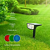Garza Estaca solar Boreas (L x An x Al: 10 x 16 x 30 cm, Negro, IP65, 100 lm) | BAUHAUS