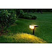Garza Estaca solar Boreas (L x An x Al: 10 x 16 x 30 cm, Negro, IP65, 100 lm) | BAUHAUS