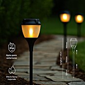 Garza Estaca solar Fenix (43,5 cm, Negro, IP44, 2 lm) | BAUHAUS