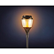 Garza Estaca solar Fenix (43,5 cm, Negro, IP44, 2 lm) | BAUHAUS