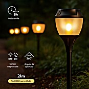 Garza Estaca solar Fenix (43,5 cm, Negro, IP44, 2 lm) | BAUHAUS
