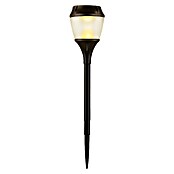 Garza Estaca solar Fenix (43,5 cm, Negro, IP44, 2 lm) | BAUHAUS