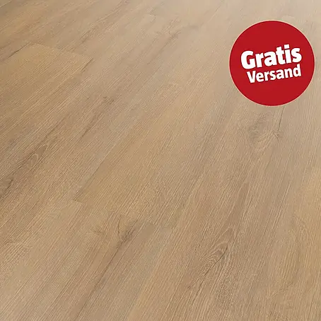 Vinylboden SPC