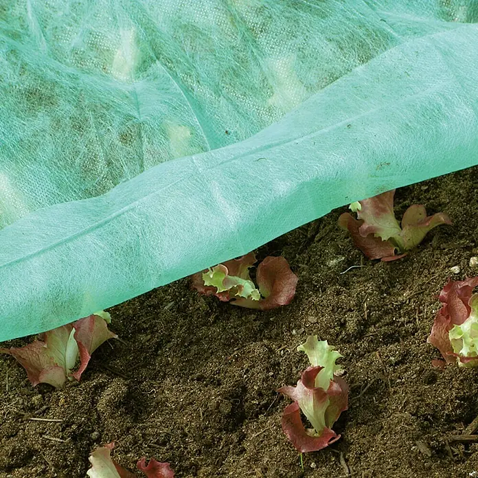 Gardol Frühbeetvlies - 5 x 1,5 m - Das Bild zeigt ein Beet mit Salatpflanzen, die teilweise mit einem grünen Schutznetz bedeckt sind, um sie vor Schädlingen und Witterung zu schützen.