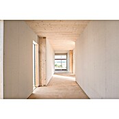 Fermacell Gipsfaserplatte 1-Mann-Platte (1.500 x 1.000 mm, Stärke: 10 mm)