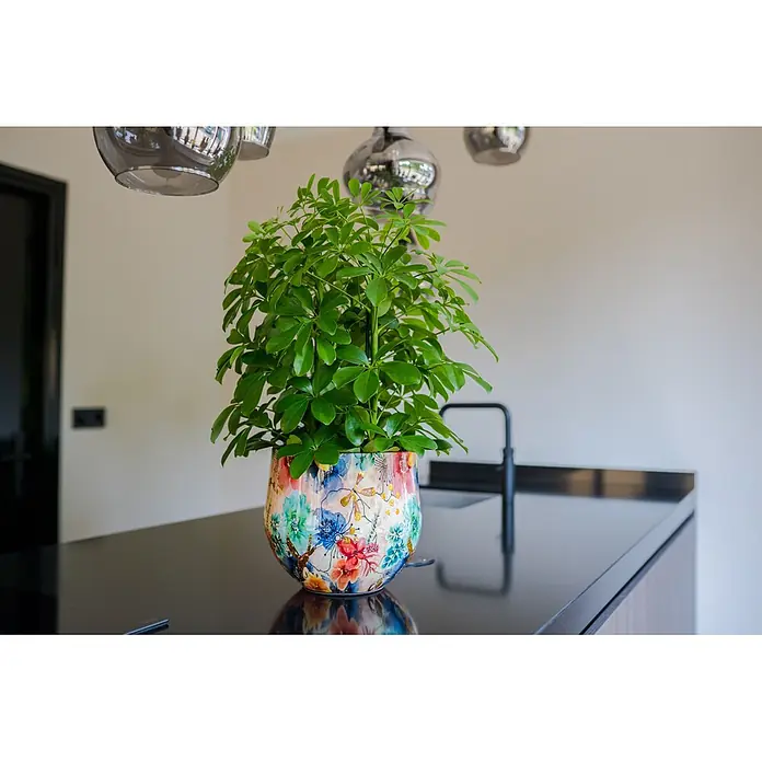 Ter Steege Übertopf rund Sparkle Spring - Ø x H: 20 x 16 cm, Metall, Rosa/Blau - Eine leuchtend grüne Topfpflanze in einem bunten Blumentopf auf einer dunklen, spiegelnden Küchenarbeitsplatte.