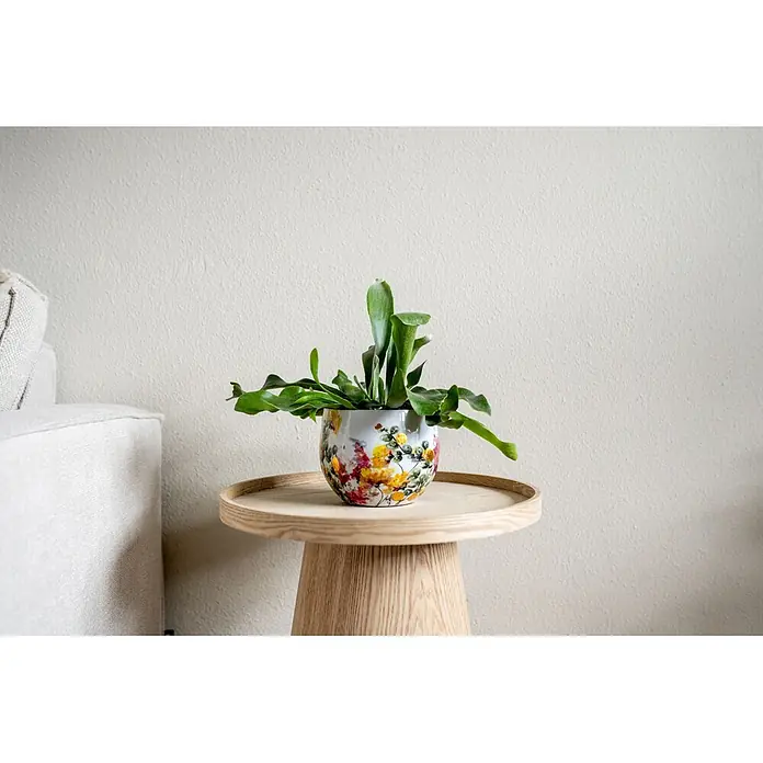 Ter Steege Übertopf rund Floral White - Ø x H: 13 x 13 cm, Metall, Cremeweiß - Grüne Pflanze in buntem Blumentopf auf einem hellen runden Holztisch.