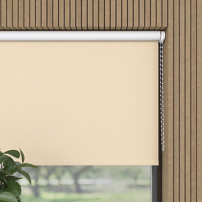 Verduisterend rolgordijn (b x h: 210 x 190 cm, Crème) | BAUHAUS