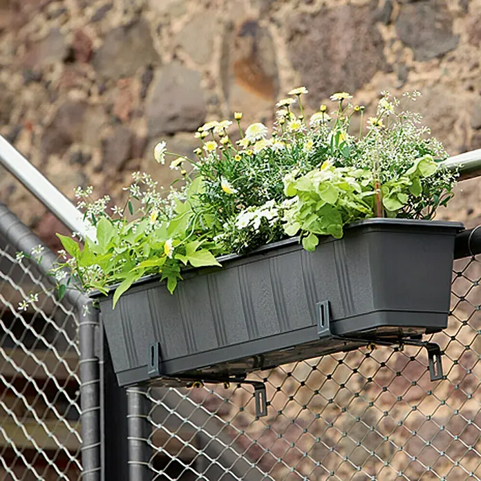 Geli Aqua Green Plus Bewässerungsbalkonkasten - Max. Außenlänge: 60 cm, Anthrazit - Grauer Pflanzkasten mit üppigen Blumen, der an einem Metallzaun befestigt ist, ideal zur Dekoration von Außenbereichen und zur Präsentation von Pflanzen.