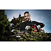 Einhell Professional Akumulatorske škarje za živo mejo GP-CH 36/65 EINHELL  (36 V, Brez baterije) | 7281 - Akkuheckenscheren  Marke | IAED - Heckenscheren | IAE - Gartenmotorgeräte | IA - Gartenhartware | I - Stadtgarten | BAUHAUS
