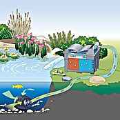 Oase Sistema de filtro para estanque BioSmart 5000 (Potencia de filtración: 25 W, Dimensión de estanque: 5 m³)