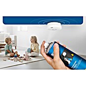 Rauchmeldertestspray (300 ml, Inhalt ausreichend für: 100 Testanwendungen)