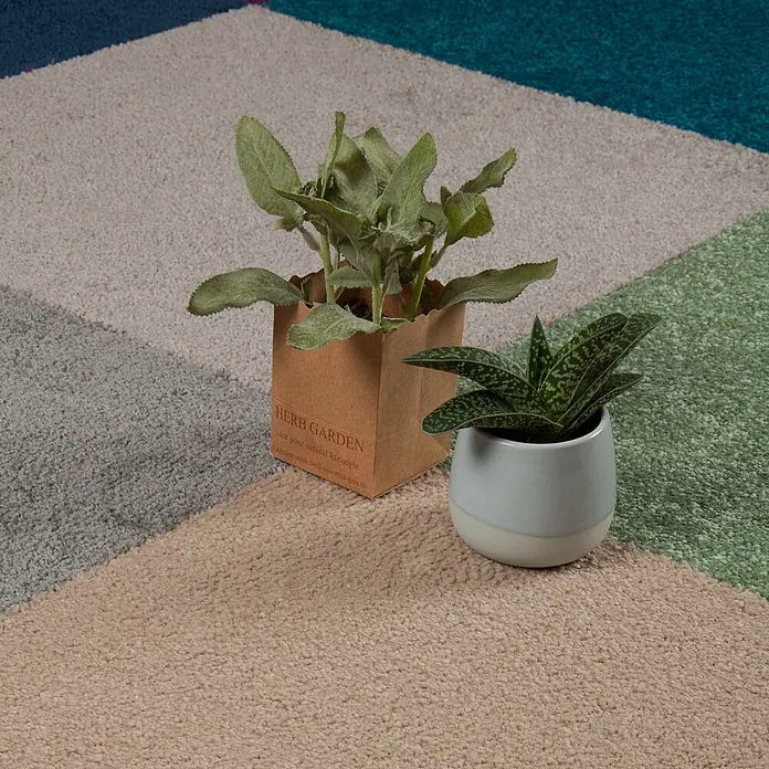 Bricoflor Teppichfliese Velours Hochflor, Grau Braun, 50 - Breite: 50 cm, Velours, 100 % Polypropylen (PP), Grau Braun - Geometrisch gemusterter Teppich in Hellgrau, Beige, Petrol und Grün, mit zwei Topfpflanzen dekoriert.