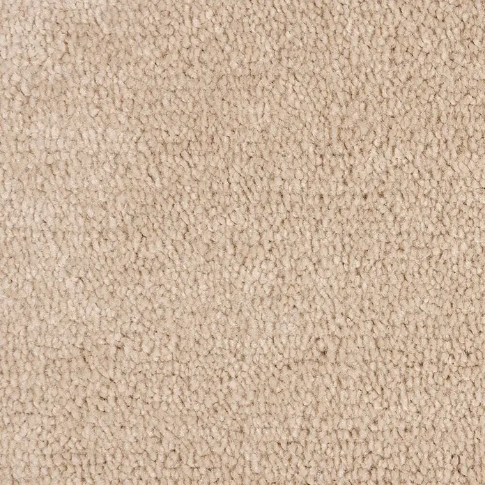 Bricoflor Teppichfliese Velours Hochflor, Beige Hell-Braun, 50 - Breite: 50 cm, Velours, 100 % Polypropylen (PP), Beige Hell-Braun - Helle beige, dichte Schlingenflor-Teppichstruktur.