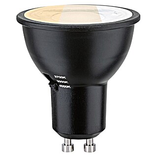 Paulmann LED-Lampe GU10 3CCT Dip Switch (GU10, Dimmbar, Warmweiß, 650 lm, 6,9 W, Schwarz)