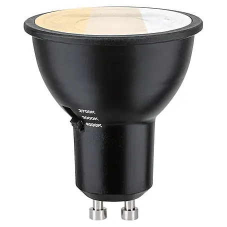 Paulmann  LED-Leuchtmittel