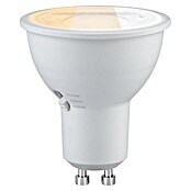Paulmann LED-Lampe GU10 3CCT (GU10, Dimmbar, Warmweiß, 6,9 W) | BAUHAUS