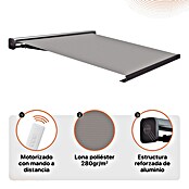 SmartSun Toldo con motor WiFi Dark Fiji II (Antracita, Ancho: 2,95 m, Caída: 2 m) | BAUHAUS