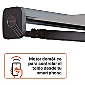 SmartSun Toldo con motor WiFi Dark Fiji II (Antracita, Ancho: 2,95 m, Caída: 2 m) | BAUHAUS