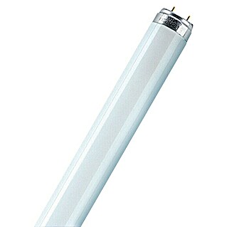 Osram Tubo fluorescente (T8, Blanco neutro, 18 W, Largo: 60 cm)