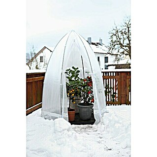 Šator za zaštitu od hladnoće za biljke (Ø x V: 1,4 x 1,8 m, Debljina folije: 150 g/m²)
