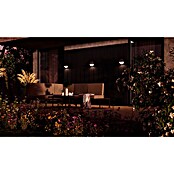 Lavida Solar-Außenwandleuchte (5 W, L x B x H: 9,7 x 20 x 20 cm, Schwarz, IP54, 500 lm) | BAUHAUS