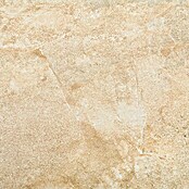 Feinsteinzeugfliese Jade Stone (30 x 60 cm, Beige, Glasiert)